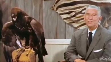 Photo of 60s kids will remember ‘Mutual Of Omaha’s Wild Kingdom’ with Marlin Perkins
