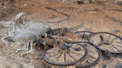 Photo of Iron Age Chariot Burial Site Found – Complete With Horse And Riderv