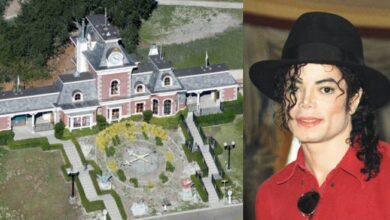 Photo of Michael Jackson’s Neverland sells for £22m: What the dilapidated ranch looks like 12 years later