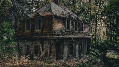 Photo of The abandoned villa of the psychologist