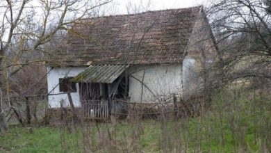 Photo of The Young Family Did Not Have Money For an Apartment: So They Bought an Abandoned House And Turned It Into a Fairytale House!