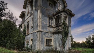 Photo of Abandoned in Portugal