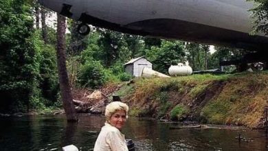 Photo of Woman Turns Boeing Plane Into Fully Functional Home
