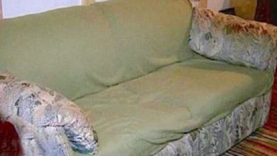 Photo of Two students bought this old couch from a market and took it to their dorm room