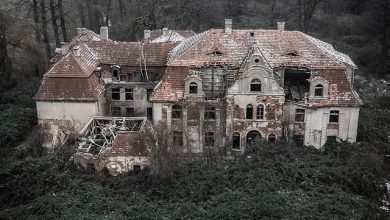Photo of Abandoned – Beautiful Photo