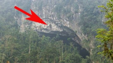 Photo of A simple farmer stumbled onto an undiscovered cave!