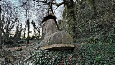 Photo of Forgotten boot-shaped home found hidden in woods likened to nursery rhyme
