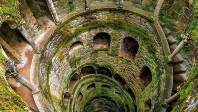 Photo of This 88ft deep well is located on the land of Quinta da Regaleir