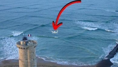 Photo of If you see square waves forming in the ocean, get out of the water immediately