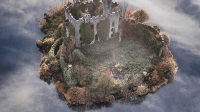 Photo of Abandoned McDermott’s castle, Ireland