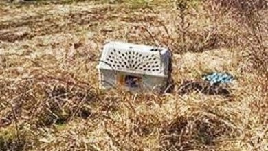 Photo of Jaw-Dropping Discovery: Bikers Stumble Upon an Abandoned Cage in a Field – What’s Inside Alters Their Lives Forever!