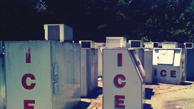Photo of Ice Box Cemetery: A Chilling Glimpse into America’s Unique Past