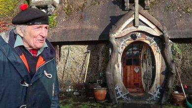 Photo of At 90, he built a Hobbit house where he can live in comfort