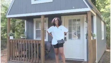 Photo of Woman turns shed into gorgeous tiny home & brings cameras inside to show how she makes it work