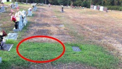 Photo of Stranger keeps secretly visiting soldier’s grave, when mom finds out ‘why’ she tracks him down