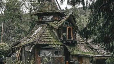 Photo of Solitude’s Sanctuary – The Abandoned House in the Mountains