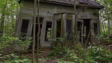Photo of Old house from 1887 was about to collapse – but check it out now