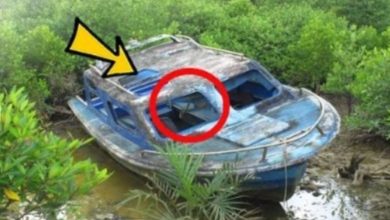 Photo of Mysterious boat runs aground, you’ll never believe what they find inside