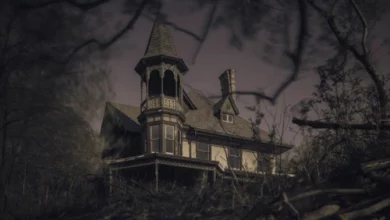 Photo of Abandoned and Ghosts of Kreischer Mansion