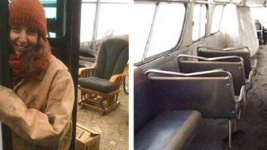 Photo of A Woman Turned a 1966 Bus into a Comfortable and Cozy Home on Wheels