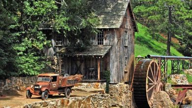Photo of Just Off I-575: Unveil Georgia’s Secret 1820s Gold Rush Treasure at Sixes Mill!