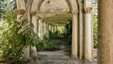 Photo of An abandoned railway station in Abkhazia