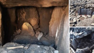 Photo of Ireland: A Tomb Hidden For 4000 Years Is Discovered “Untouched” With Human Stays Inside