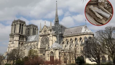 Photo of Ancient Sarcophagus Uncovered Beneath Notre Dame Cathedral