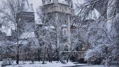 Photo of Vajdahunyad Castle: A Timeless Marvel in Budapest’s City Park