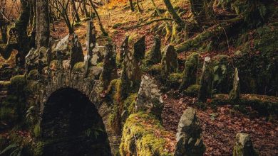 Photo of Discover the Enchantment of the Fairy Bridge of Glen Creran