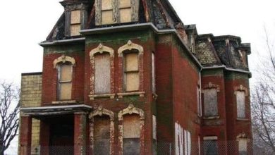 Photo of Exploring the Abandoned Victorian Mansions of Trumbull Avenue, Detroit