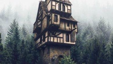 Photo of The Enigmatic Charm of the Abandoned Tall House: A Tale of Forgotten Heights