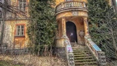 Photo of Sunkissed Solitude: The Enigmatic Story of the Abandoned Orange House