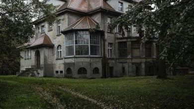 Photo of The Enchanting Elegance of Abandonment: Discovering a Forgotten Mansion