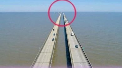 Photo of Even experienced drivers and motorists are scared to cross this bridge