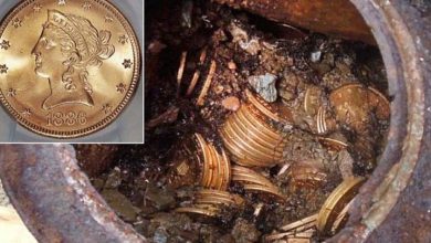 Photo of A California Couple Found $10 Million In Gold Coins In Their Backyard