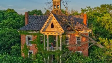 Photo of Abndoned1860s Victorian Mansion , Ohio Urbex