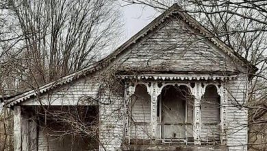 Photo of Time-Worn Elegance: Unveiling the Enchanting Abandonment of Halifax Town’s Forgotten Residence in North Carolin