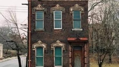 Photo of Hidden Gems of Neglect: Discovering the Beauty on a Pittsburgh Street Corner