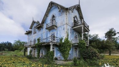 Photo of Hauntingly beautiful Casa Azul, a Gothic gem on a hill in Portugal