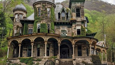 Photo of Beautiful Abandoned House