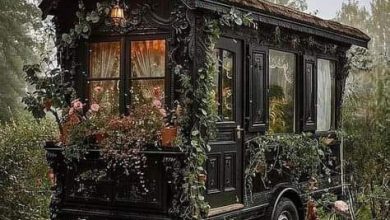 Photo of C.1880 Horse Drawn Hearse – Coachwork by Marston & Co – Birmingham – England