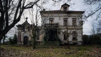 Photo of Abandoned Viscountess Mansion