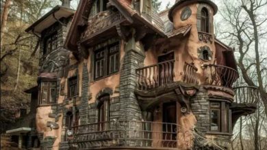 Photo of The Vanishing Shadows of the Haunted Forest Mansion