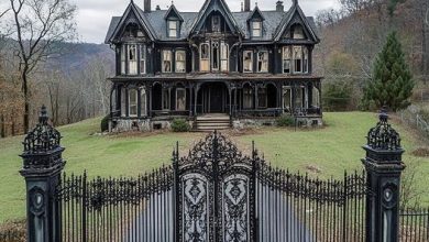 Photo of Beautiful Abandoned House