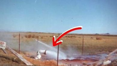 Photo of A Farmer Dug A Hole To Find Water, But What Came Up Instead Stunned The Whole World