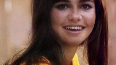 Photo of Sally Field, 76, never underwent plastic surgery despite fighting ageism in Hollywood her whole career.