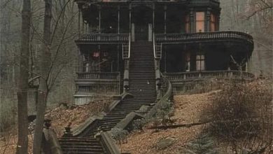 Photo of Inside the Abandoned Château’s Dark Past