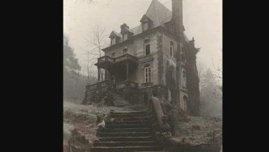 Photo of Inside the Abandoned Château’s Dark Past