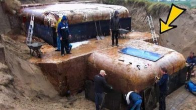 Photo of Woman Discovers Buried Bunker in Her Garden – Then She Sees Why…